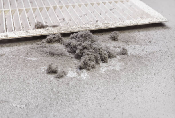 Best Emergency Air Duct Cleaning  in Burley, ID