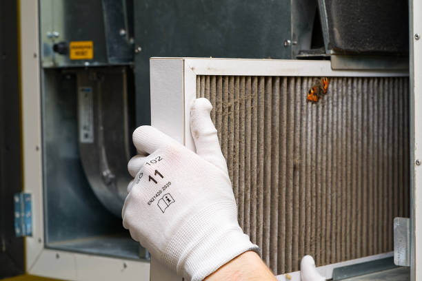 Best Air Duct Cleaning Near Me  in Burley, ID